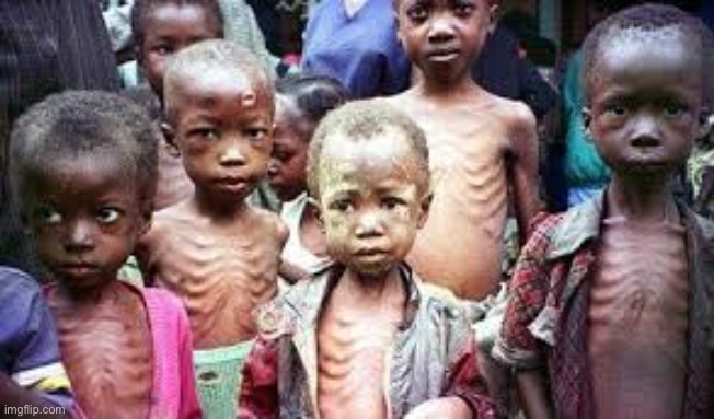 Starving kids | image tagged in starving kids | made w/ Imgflip meme maker
