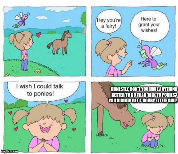 Talk to Ponies | HONESTLY, DON'T YOU HAVE ANYTHING BETTER TO DO THAN TALK TO PONIES? YOU OUGHTA GET A HOBBY, LITTLE GIRL! | image tagged in talk to ponies | made w/ Imgflip meme maker