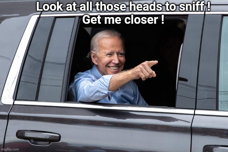 Joe Biden Cool | Look at all those heads to sniff !
Get me closer ! | image tagged in joe biden cool | made w/ Imgflip meme maker