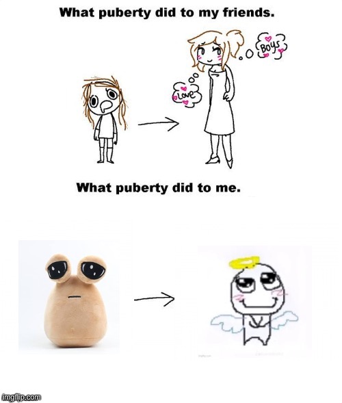 idk | image tagged in what puberty did to me | made w/ Imgflip meme maker