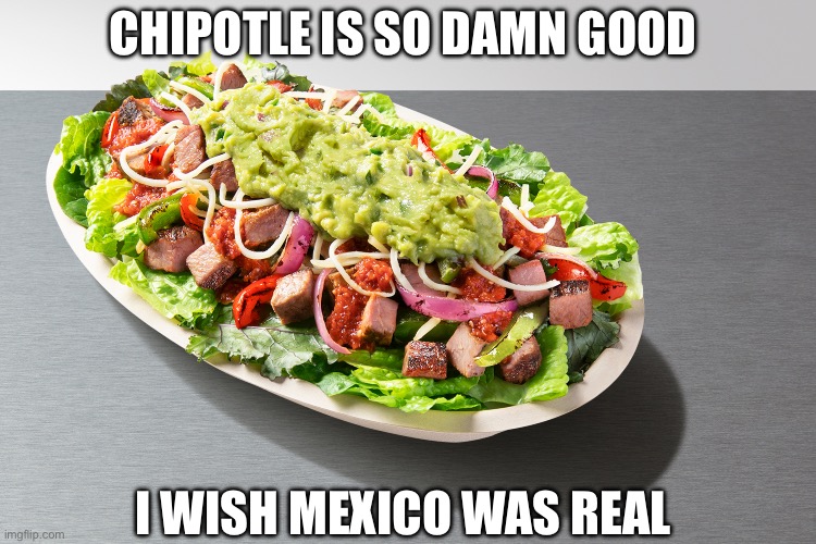 CHIPOTLE IS SO DAMN GOOD; I WISH MEXICO WAS REAL | image tagged in memes,chipotle,shitpost,lol,food memes,humor | made w/ Imgflip meme maker