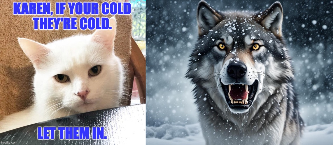 Cold Smudge | KAREN, IF YOUR COLD
THEY'RE COLD. LET THEM IN. | image tagged in casually waiting for food | made w/ Imgflip meme maker