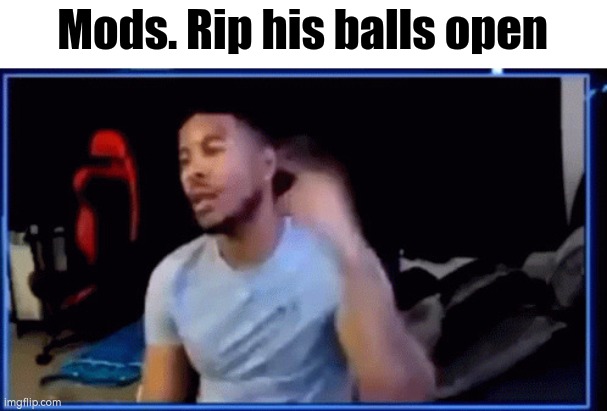 ltg mods | Mods. Rip his balls open | image tagged in ltg mods | made w/ Imgflip meme maker