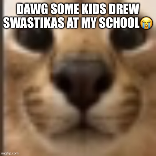 Whar | DAWG SOME KIDS DREW SWASTIKAS AT MY SCHOOL😭 | image tagged in whar | made w/ Imgflip meme maker