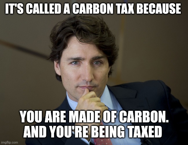 Not because you produce it. | IT'S CALLED A CARBON TAX BECAUSE; YOU ARE MADE OF CARBON. AND YOU'RE BEING TAXED | image tagged in justin trudeau readiness | made w/ Imgflip meme maker