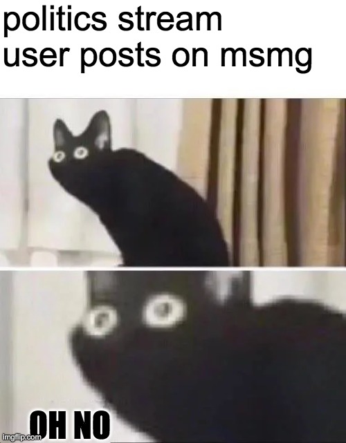 Oh No Black Cat | politics stream user posts on msmg; OH NO | image tagged in oh no black cat | made w/ Imgflip meme maker