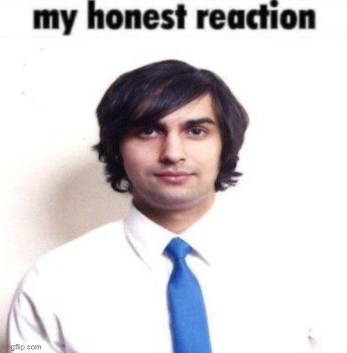 my honest reaction | image tagged in my honest reaction | made w/ Imgflip meme maker