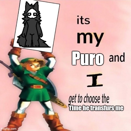 Let him do it. Just let him do it. | Puro; Time he transfurs me | image tagged in it's my and i get to choose the,puro,good boy,changed | made w/ Imgflip meme maker