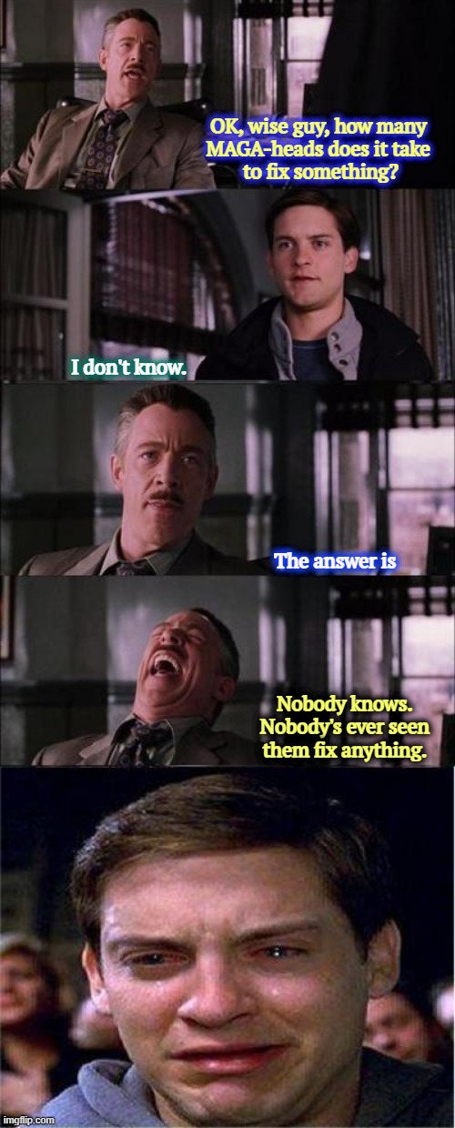 America cries. | OK, wise guy, how many 
MAGA-heads does it take 
to fix something? I don't know. The answer is; Nobody knows. Nobody's ever seen them fix anything. | image tagged in memes,peter parker cry,maga,incompetence | made w/ Imgflip meme maker