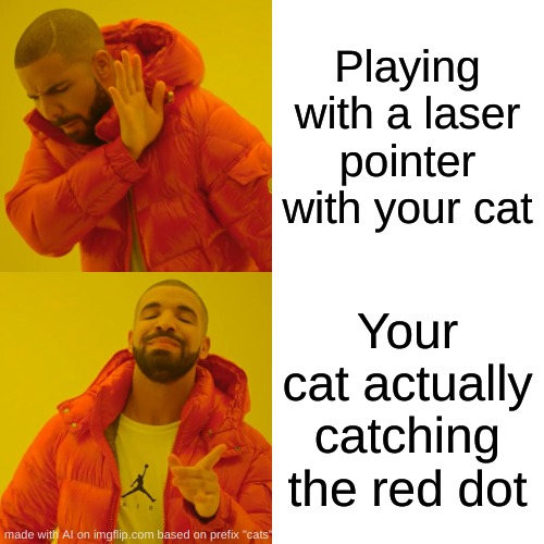 Drake Hotline Bling | Playing with a laser pointer with your cat; Your cat actually catching the red dot | image tagged in memes,drake hotline bling | made w/ Imgflip meme maker