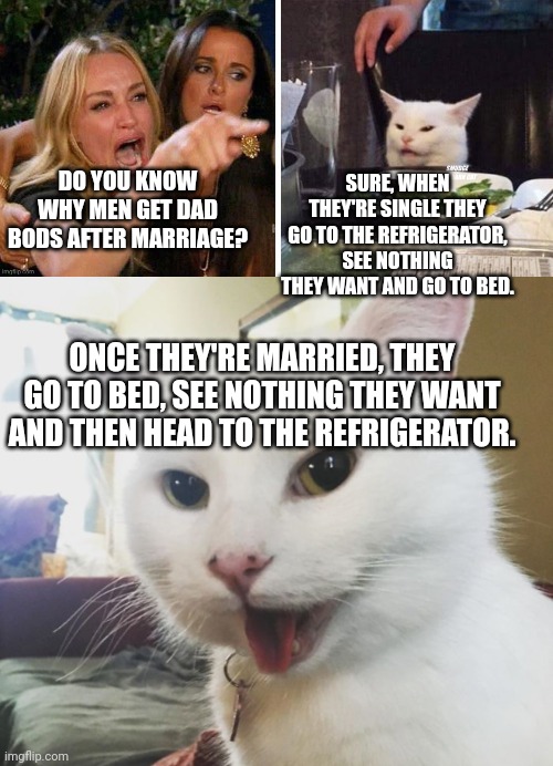 SURE, WHEN THEY'RE SINGLE THEY GO TO THE REFRIGERATOR, SEE NOTHING THEY WANT AND GO TO BED. DO YOU KNOW WHY MEN GET DAD BODS AFTER MARRIAGE? ONCE THEY'RE MARRIED, THEY GO TO BED, SEE NOTHING THEY WANT AND THEN HEAD TO THE REFRIGERATOR. | image tagged in smudge | made w/ Imgflip meme maker