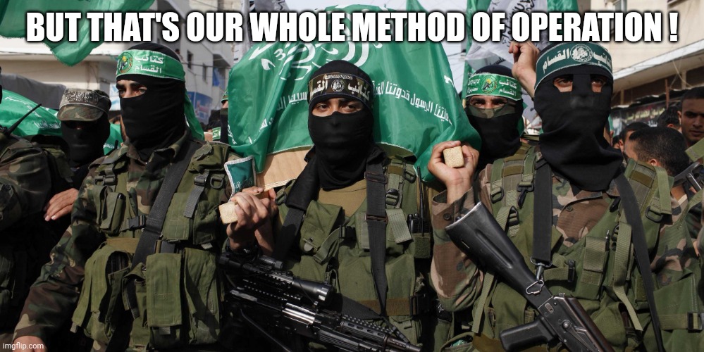 Hamas | BUT THAT'S OUR WHOLE METHOD OF OPERATION ! | image tagged in hamas | made w/ Imgflip meme maker