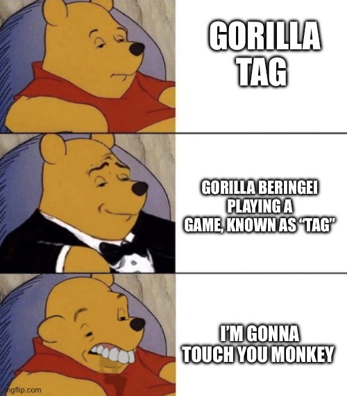 Those kids need to shut up | GORILLA TAG; GORILLA BERINGEI PLAYING A GAME, KNOWN AS “TAG”; I’M GONNA TOUCH YOU MONKEY | image tagged in whinnie the poo normal fancy gross,oh wow are you actually reading these tags,gorilla tag | made w/ Imgflip meme maker