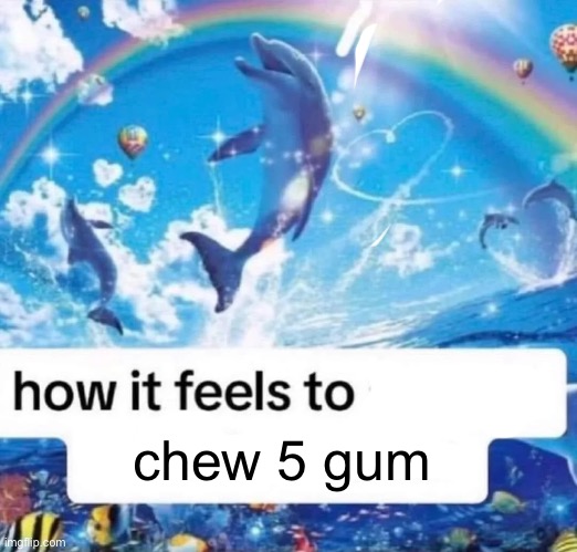 How it feels to spread misinformation | chew 5 gum | image tagged in how it feels to spread misinformation | made w/ Imgflip meme maker
