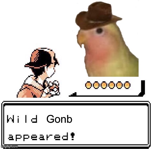 Gonb | Gonb | image tagged in blank wild pokemon appears | made w/ Imgflip meme maker