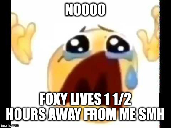 cursed crying emoji | NOOOO; FOXY LIVES 1 1/2 HOURS AWAY FROM ME SMH | image tagged in cursed crying emoji | made w/ Imgflip meme maker