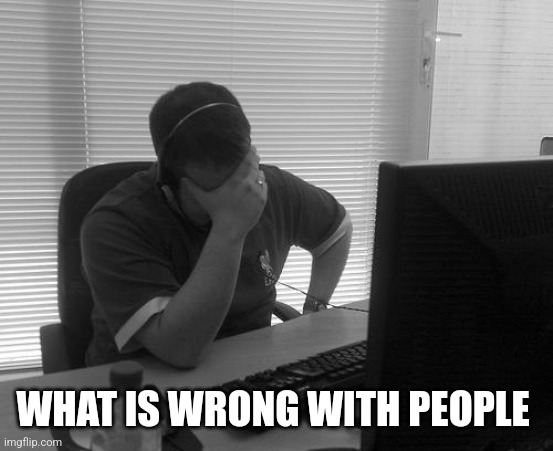 Programmer Facepalm | WHAT IS WRONG WITH PEOPLE | image tagged in programmer facepalm | made w/ Imgflip meme maker