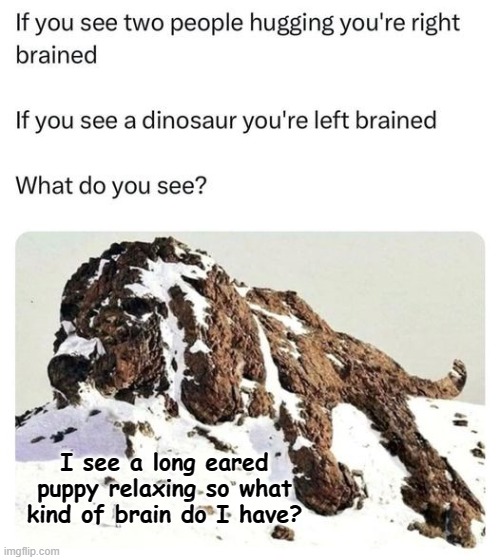 I see a long eared puppy relaxing so what kind of brain do I have? | made w/ Imgflip meme maker