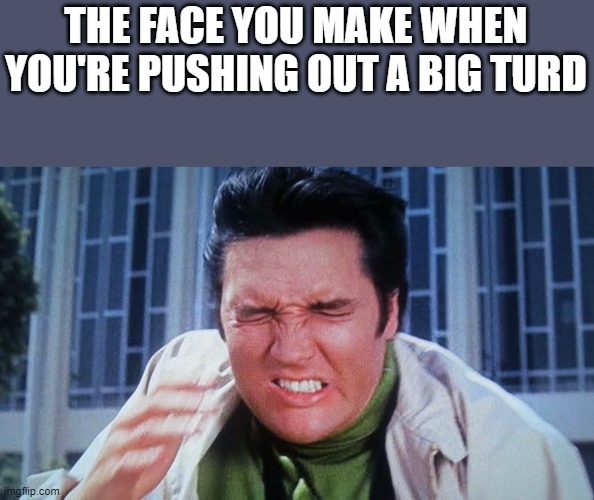 Big Turd | THE FACE YOU MAKE WHEN YOU'RE PUSHING OUT A BIG TURD | image tagged in elvis,elvis presley,turd,poop,funny,memes | made w/ Imgflip meme maker