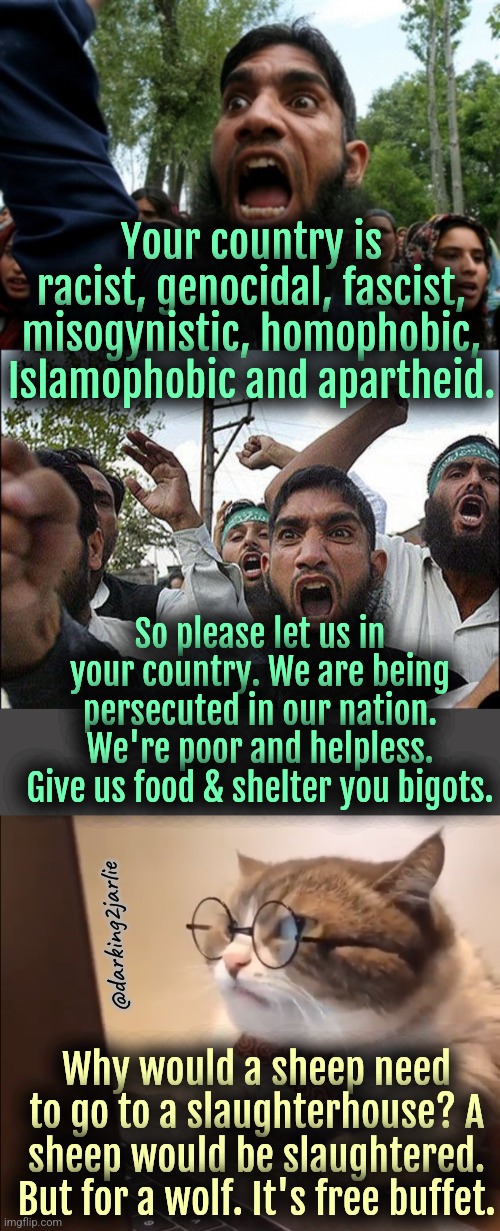 Let the wolves in you racist sheeps. | Your country is racist, genocidal, fascist, misogynistic, homophobic, Islamophobic and apartheid. So please let us in your country. We are being persecuted in our nation. We're poor and helpless. Give us food & shelter you bigots. @darking2jarlie; Why would a sheep need to go to a slaughterhouse? A sheep would be slaughtered. But for a wolf. It's free buffet. | image tagged in muslims,islam,islamophobia,illegal immigration,liberal logic,open borders | made w/ Imgflip meme maker