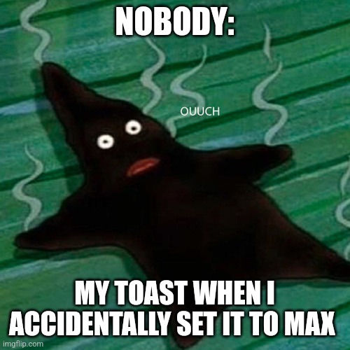 Set the toaster to max | NOBODY:; MY TOAST WHEN I ACCIDENTALLY SET IT TO MAX | image tagged in burnt patrick,food memes,jpfan102504 | made w/ Imgflip meme maker
