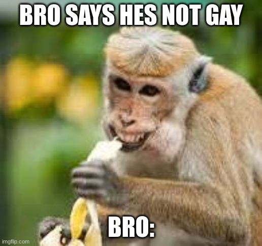 Hell naw | BRO SAYS HES NOT GAY; BRO: | image tagged in lol,lol so funny,so true memes | made w/ Imgflip meme maker