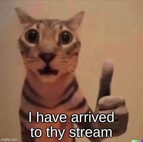 katt | I have arrived to thy stream | image tagged in katt | made w/ Imgflip meme maker