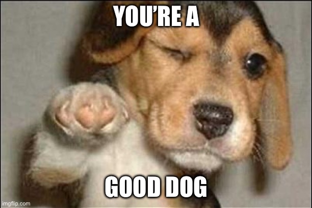 good job dog | YOU’RE A GOOD DOG | image tagged in good job dog | made w/ Imgflip meme maker