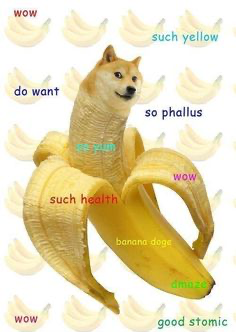 Banana doge Blank Meme Template