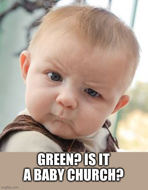 Skeptical Baby Meme | GREEN? IS IT A BABY CHURCH? | image tagged in memes,skeptical baby | made w/ Imgflip meme maker