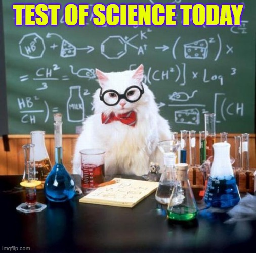 Chemistry Cat Meme | TEST OF SCIENCE TODAY | image tagged in memes,chemistry cat | made w/ Imgflip meme maker