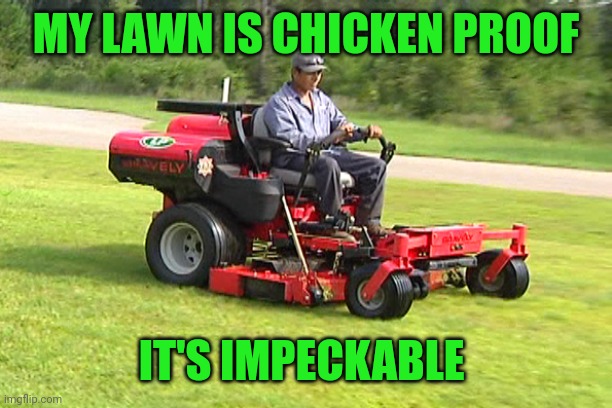Landscaper on a Riding Lawn Mower | MY LAWN IS CHICKEN PROOF; IT'S IMPECKABLE | image tagged in landscaper on a riding lawn mower | made w/ Imgflip meme maker