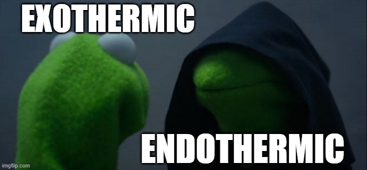 Exothermic Kermit | EXOTHERMIC; ENDOTHERMIC | image tagged in memes,evil kermit | made w/ Imgflip meme maker