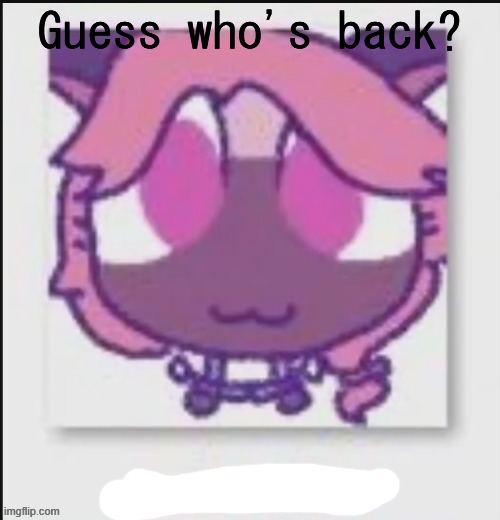Mittens Wichien announcement temp | Guess who's back? | image tagged in mittens wichien announcement temp | made w/ Imgflip meme maker