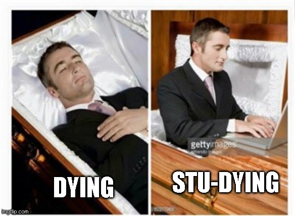 Your argument is invalid. | STU-DYING; DYING | image tagged in dead guy | made w/ Imgflip meme maker