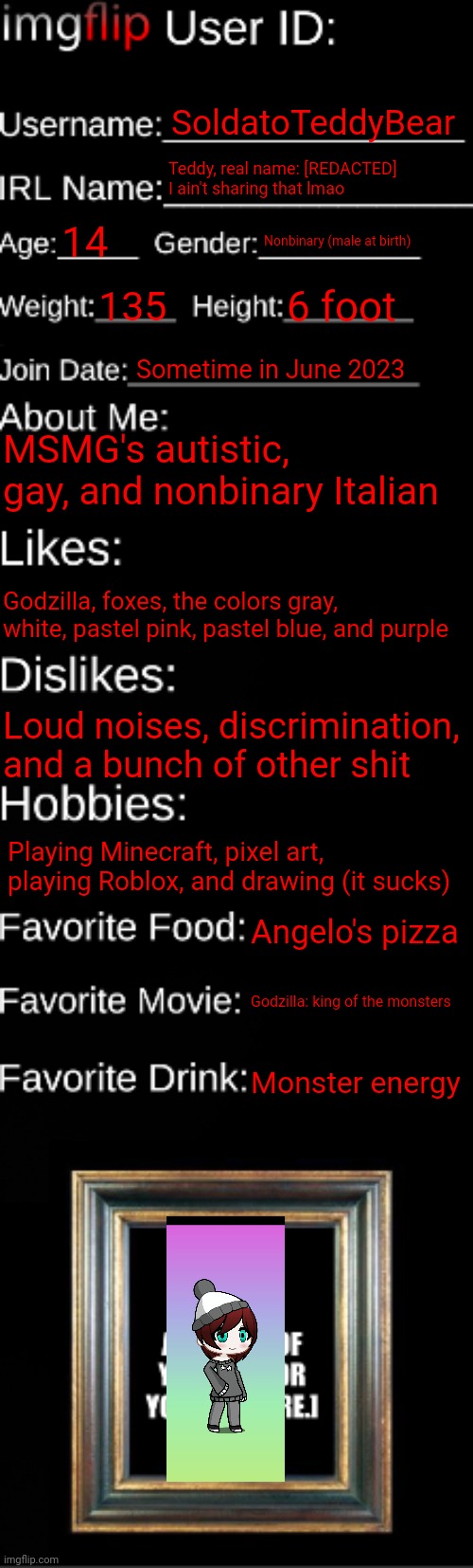 I couldn't grab an selfie cause the bus doesn't allow me anymore | SoldatoTeddyBear; Teddy, real name: [REDACTED] I ain't sharing that lmao; 14; Nonbinary (male at birth); 135; 6 foot; Sometime in June 2023; MSMG's autistic, gay, and nonbinary Italian; Godzilla, foxes, the colors gray, white, pastel pink, pastel blue, and purple; Loud noises, discrimination, and a bunch of other shit; Playing Minecraft, pixel art, playing Roblox, and drawing (it sucks); Angelo's pizza; Godzilla: king of the monsters; Monster energy | image tagged in imgflip id card | made w/ Imgflip meme maker