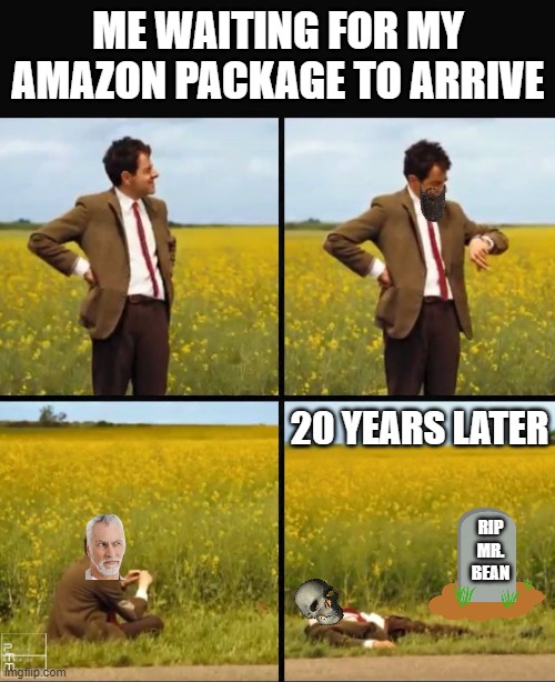 Waiting for my package | ME WAITING FOR MY AMAZON PACKAGE TO ARRIVE; 20 YEARS LATER; RIP
MR. BEAN | image tagged in mr bean waiting | made w/ Imgflip meme maker