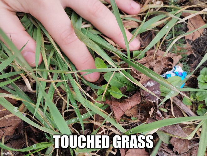 I feel great | TOUCHED GRASS | made w/ Imgflip meme maker