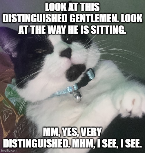 Distinguish gentlemen | LOOK AT THIS DISTINGUISHED GENTLEMEN. LOOK AT THE WAY HE IS SITTING. MM, YES, VERY DISTINGUISHED. MHM, I SEE, I SEE. | image tagged in distinguish gentlemen | made w/ Imgflip meme maker