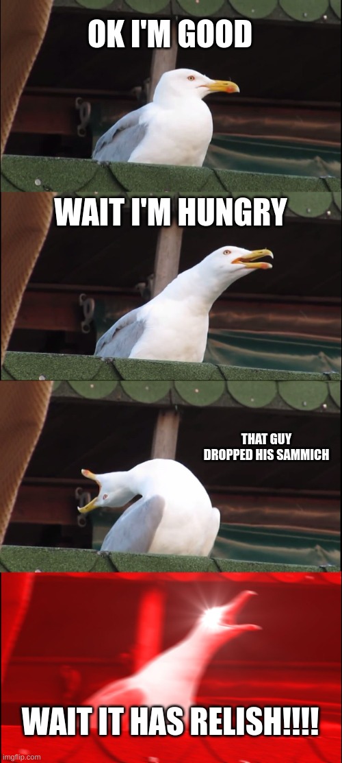 Inhaling Seagull Meme | OK I'M GOOD; WAIT I'M HUNGRY; THAT GUY DROPPED HIS SAMMICH; WAIT IT HAS RELISH!!!! | image tagged in memes,inhaling seagull | made w/ Imgflip meme maker