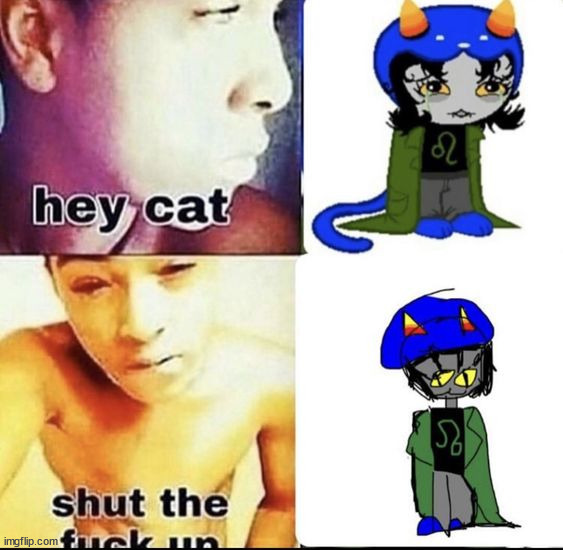 made w/ Imgflip meme maker