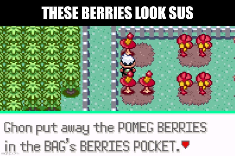 uh | THESE BERRIES LOOK SUS | image tagged in pokemon,pokemon memes,memes,meme,video games,video game | made w/ Imgflip meme maker