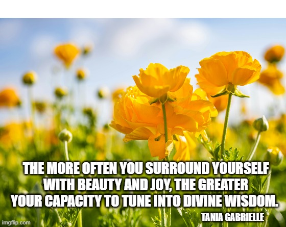 THE MORE OFTEN YOU SURROUND YOURSELF WITH BEAUTY AND JOY, THE GREATER YOUR CAPACITY TO TUNE INTO DIVINE WISDOM. TANIA GABRIELLE | made w/ Imgflip meme maker