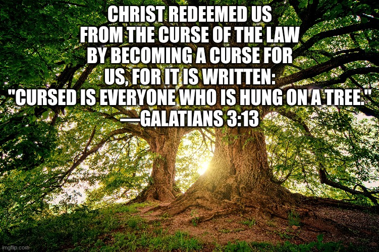 CHRIST REDEEMED US FROM THE CURSE OF THE LAW BY BECOMING A CURSE FOR US, FOR IT IS WRITTEN: "CURSED IS EVERYONE WHO IS HUNG ON A TREE."
—GALATIANS 3:13 | made w/ Imgflip meme maker