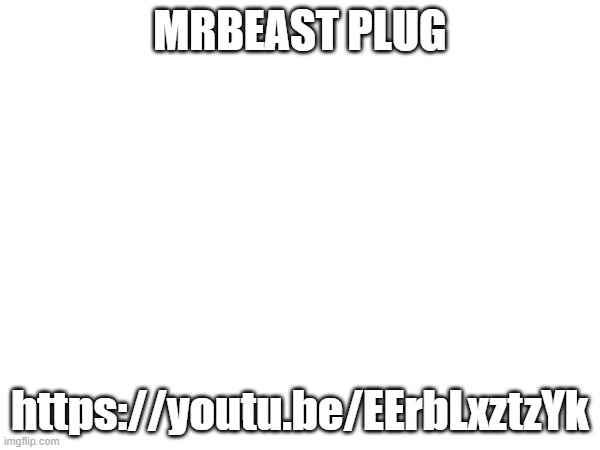 MRBEAST PLUG; https://youtu.be/EErbLxztzYk | made w/ Imgflip meme maker