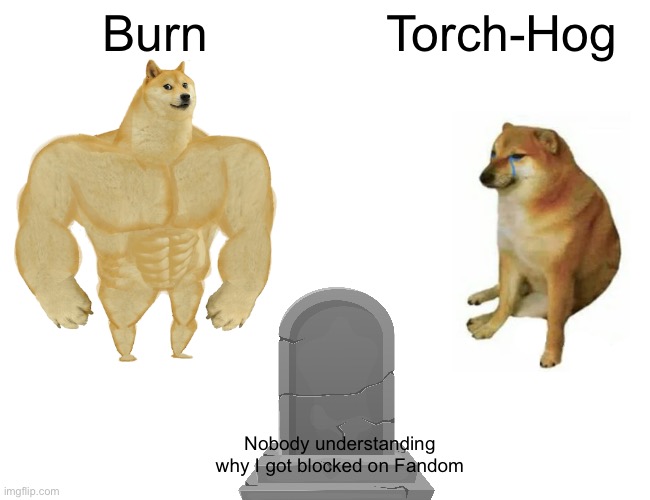 Buff Doge vs. Cheems | Burn; Torch-Hog; Nobody understanding why I got blocked on Fandom | image tagged in memes,buff doge vs cheems | made w/ Imgflip meme maker