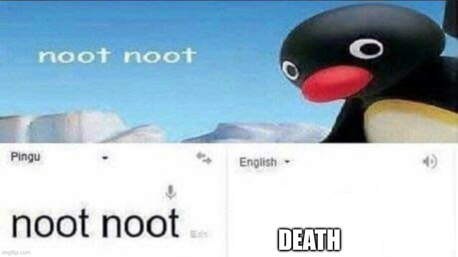 noot noot = death | DEATH | image tagged in noot noot google translate | made w/ Imgflip meme maker
