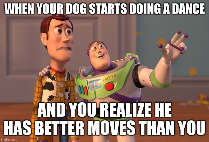 my dog really does dance but he does not do it better than I do | WHEN YOUR DOG STARTS DOING A DANCE; AND YOU REALIZE HE HAS BETTER MOVES THAN YOU | image tagged in memes,x x everywhere | made w/ Imgflip meme maker