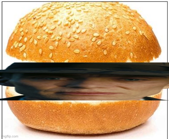 Nothing burger | image tagged in nothing burger | made w/ Imgflip meme maker