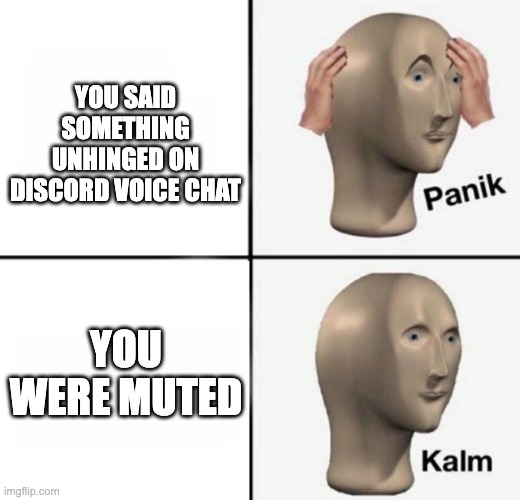 they didnt hear... | YOU SAID SOMETHING UNHINGED ON DISCORD VOICE CHAT; YOU WERE MUTED | image tagged in panik kalm,memes,discord,mute,lol,relief | made w/ Imgflip meme maker